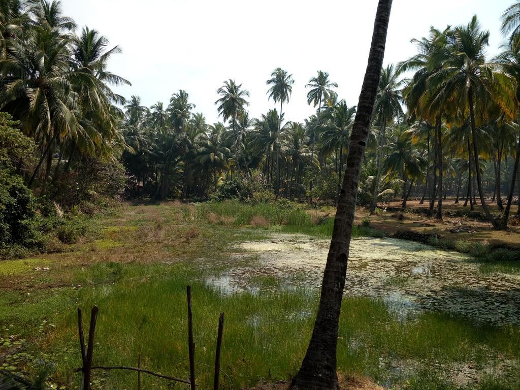 Raikar Guest House Bogmalo Luaran gambar