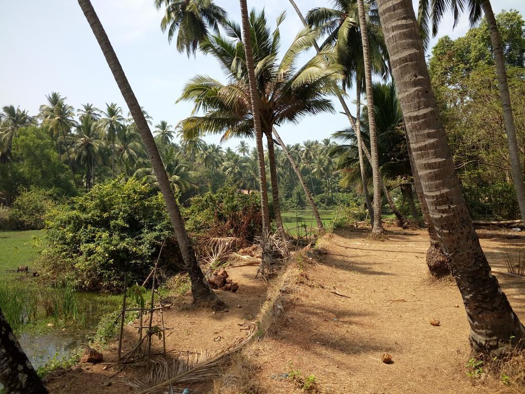 Raikar Guest House Bogmalo Luaran gambar